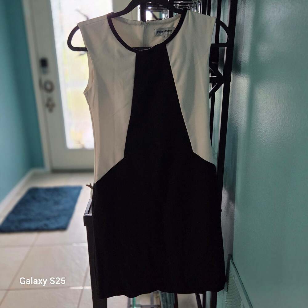 Shelby & Palmer Women's Colorblock Sleeveless Sheath Dress Black and White Size